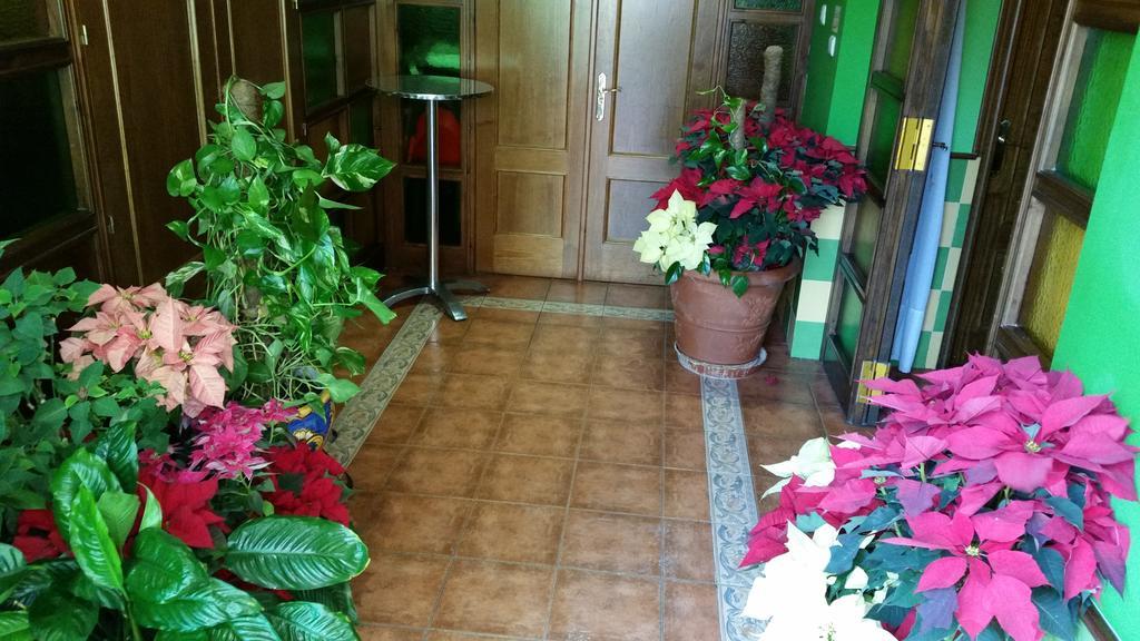 Hotel Hidalgo Alcaudete Zewnętrze zdjęcie